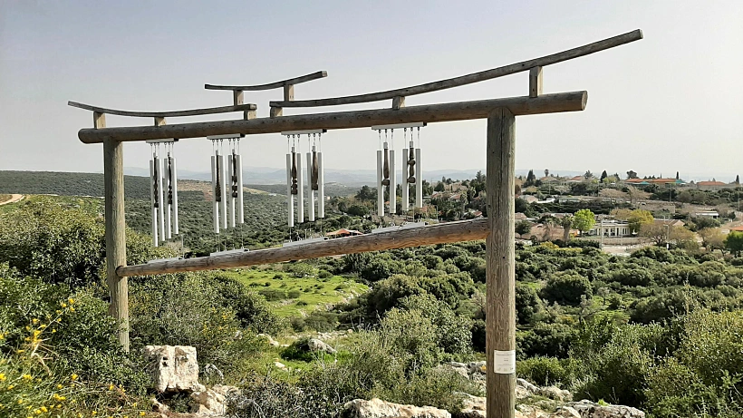 מרבד ירוק קציר