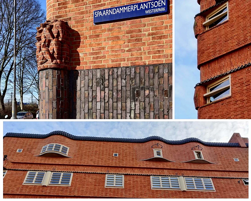 אסכולת אמסטרדם. צילום: רחלי לביא דגן