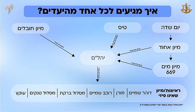 שלבי מיון