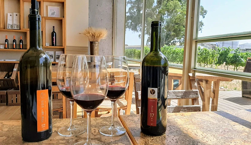 יקב ויתקין. צילום: מיכל בן ארי מנור