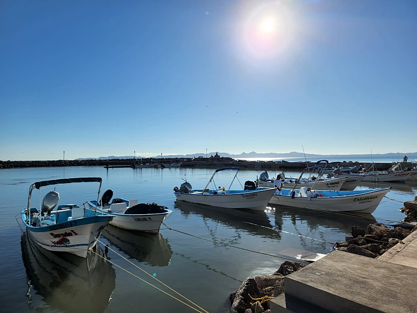 לורטו מקסיקו. צילום: מתן הירש