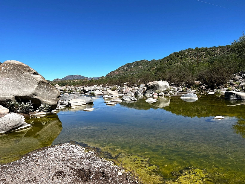 לורטו מקסיקו. צילום: מתן הירש