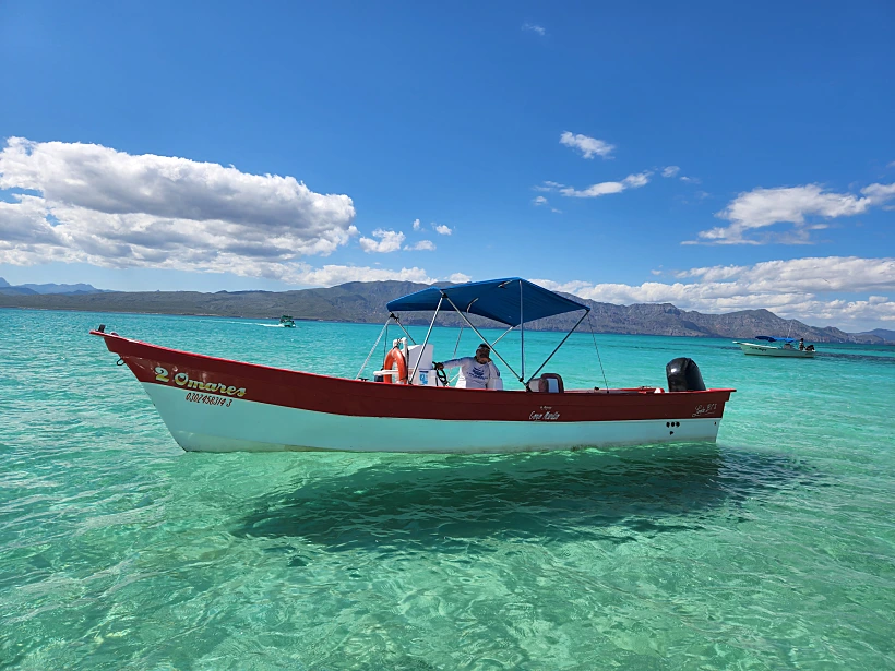 לורטו מקסיקו. צילום: מתן הירש