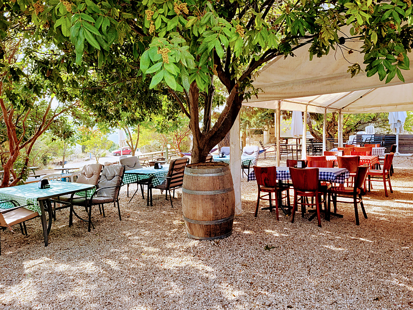 בית הקפה של חנותא. צילום: עינת הרשקו