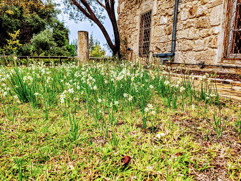 מוזיאון חומה ומגדל חניתה