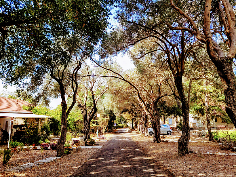 קיבוץ חניתה. צילום: עינת הרשקו