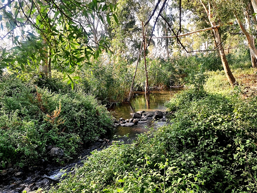 עין צנובר. צילם: תקשורות - יעל שביט