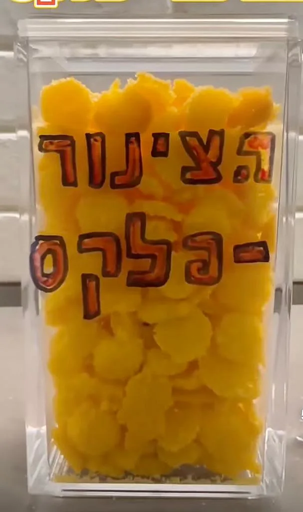 Whatsapp Image 2022 11 09 At 1