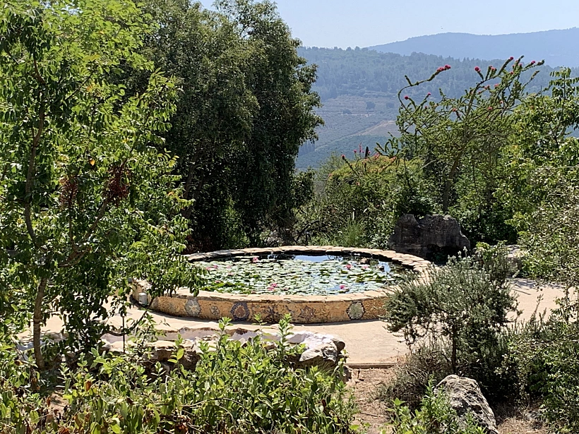 מעלה צביה צילום גבי זהר