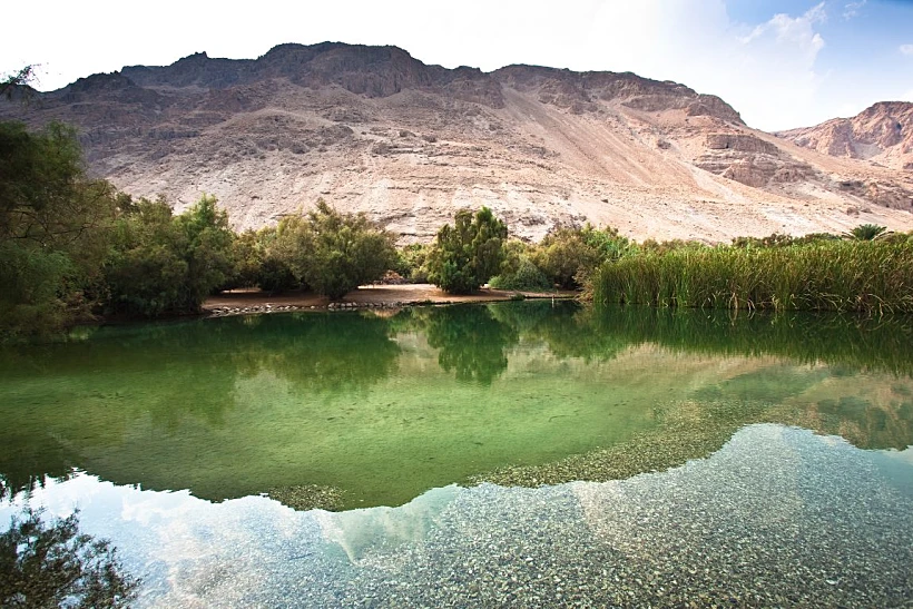 עינות צוקים - צילום דורון ניסים