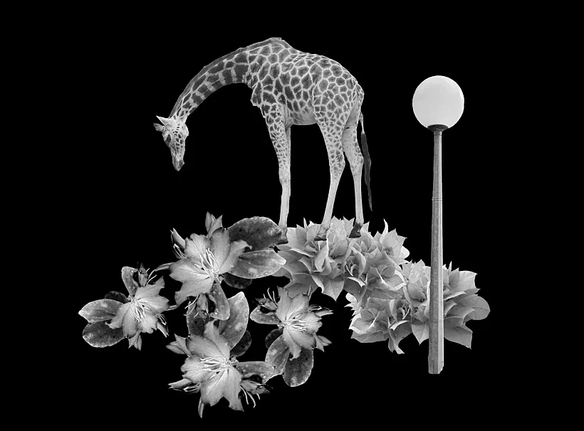 סופי ברזון מקאי מתוך אירוע ותערוכה אתגר קרת