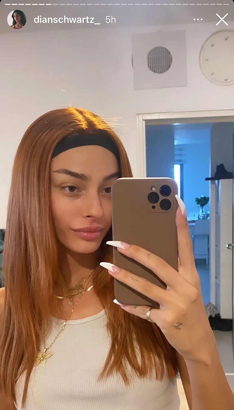 הפאה של דיאן