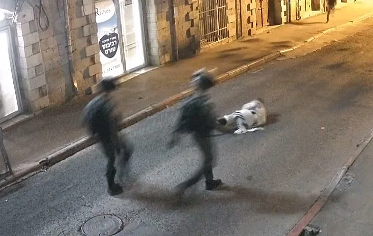 תיעוד מהפלת החרדי במאה שערים