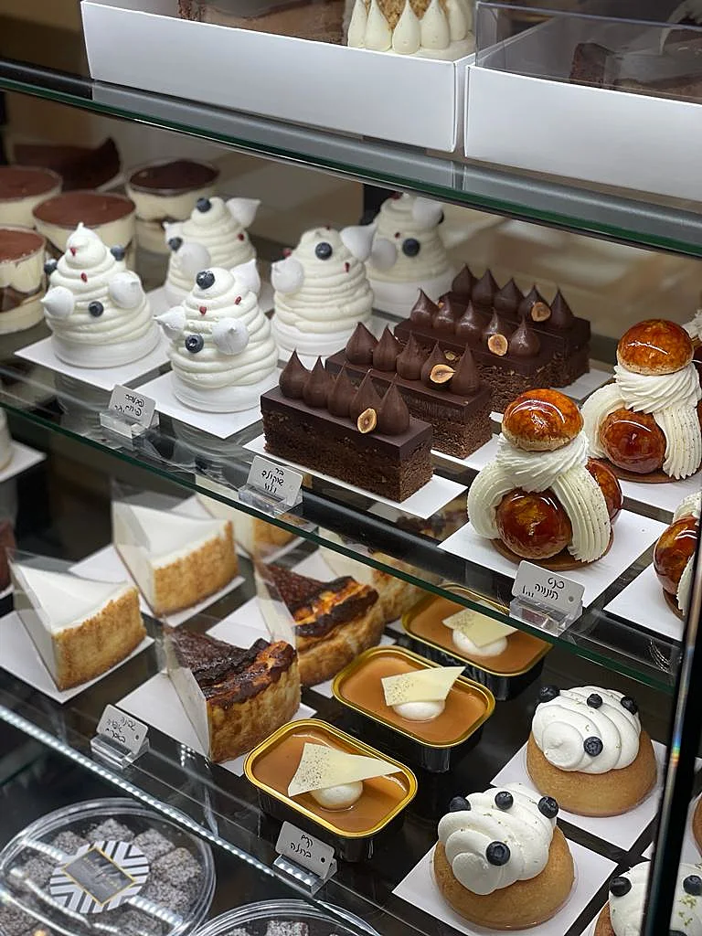 Whatsapp Image 2022 11 23 At 1