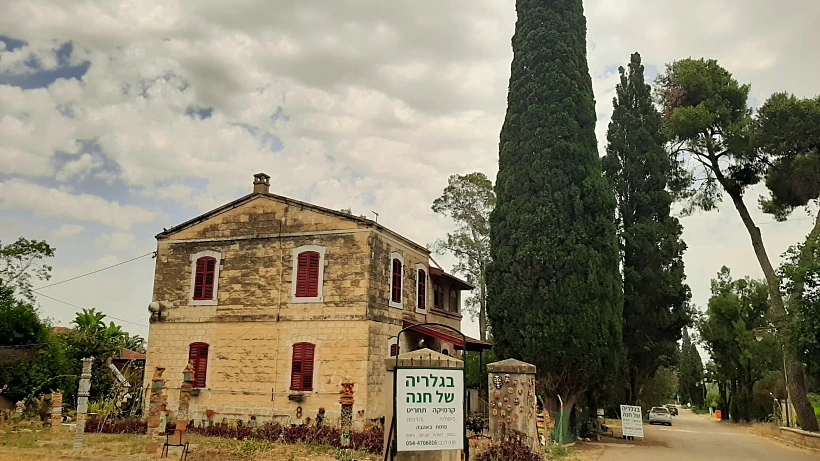 אלוני אבא. צילום: מיכל בן ארי מנור