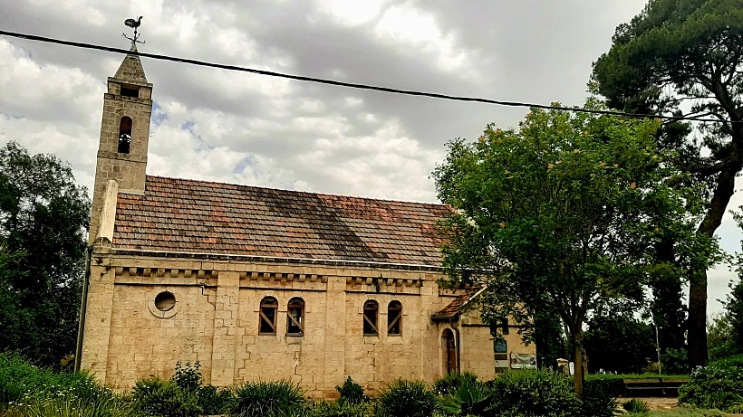 אלוני אבא. צילום: מיכל בן ארי מנור