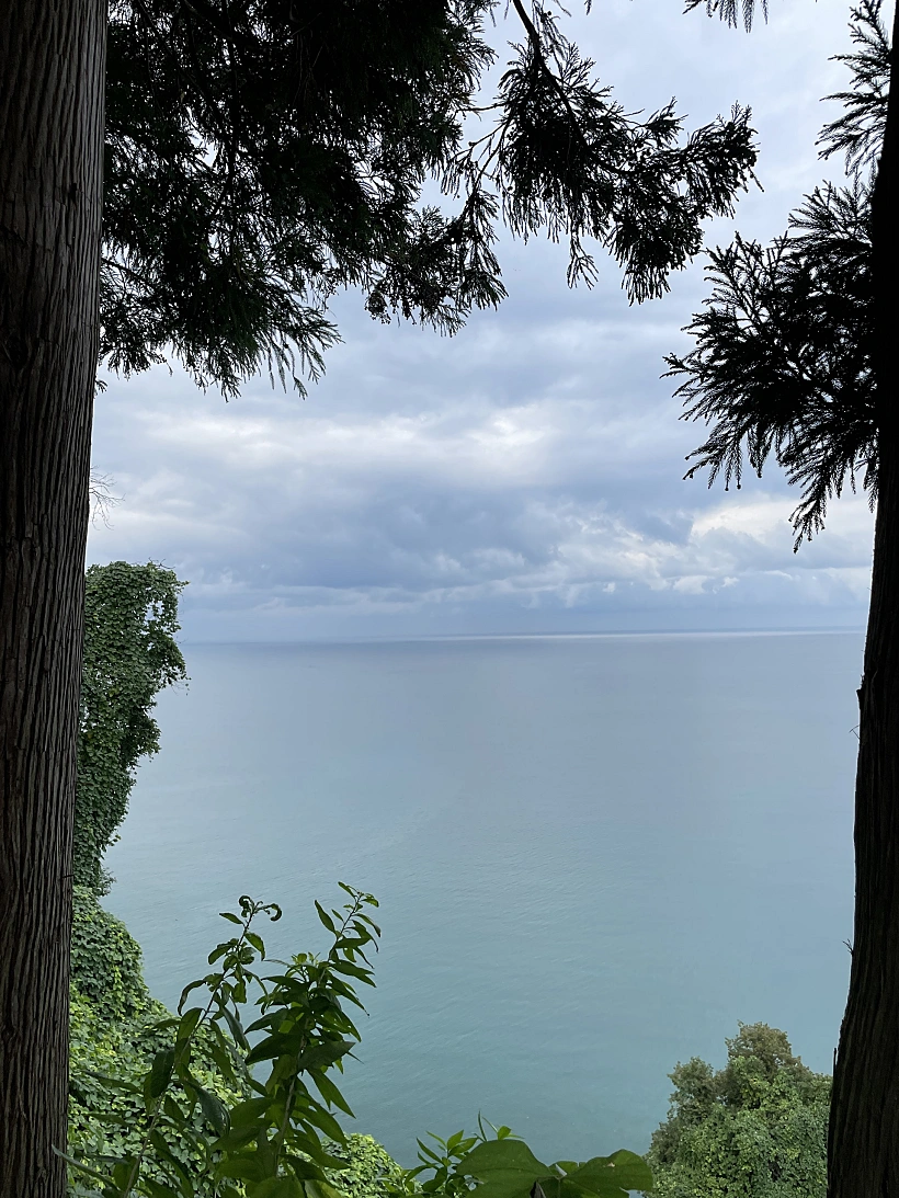 הגן הבוטני בבאטומי