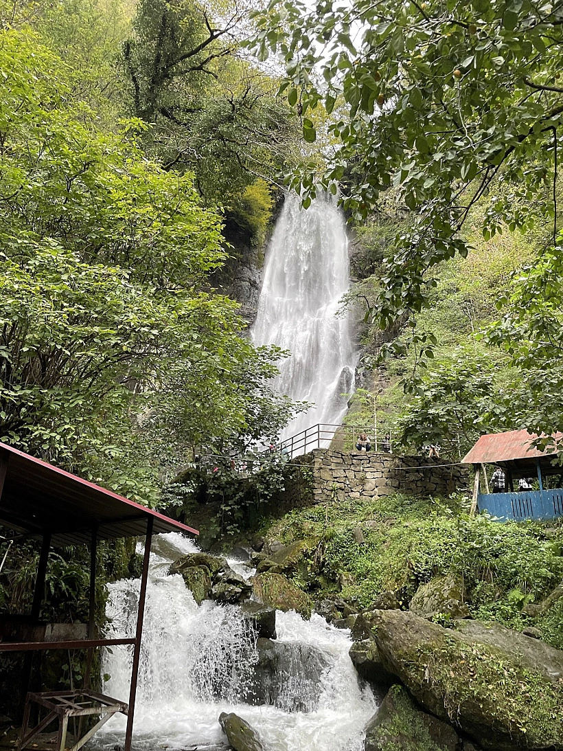 שמורת הטבע מטרילה בגיאורגיה