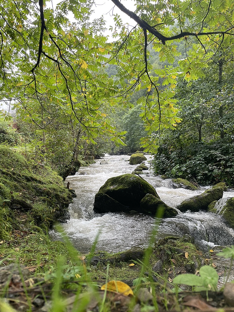 שמורת מטרילה גיאורגיה
