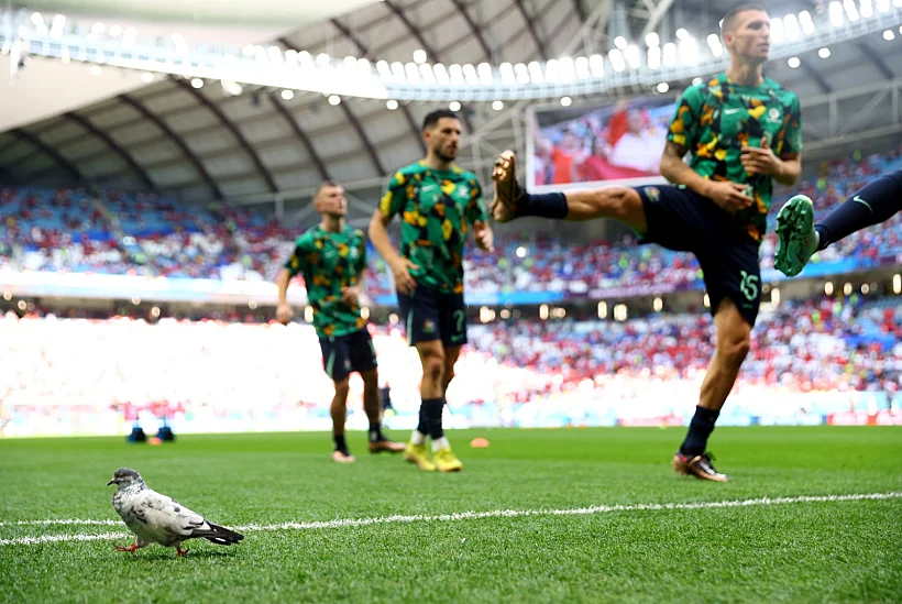 אוסטרליה, תוניסיה, קטר, מונדיאל 2022