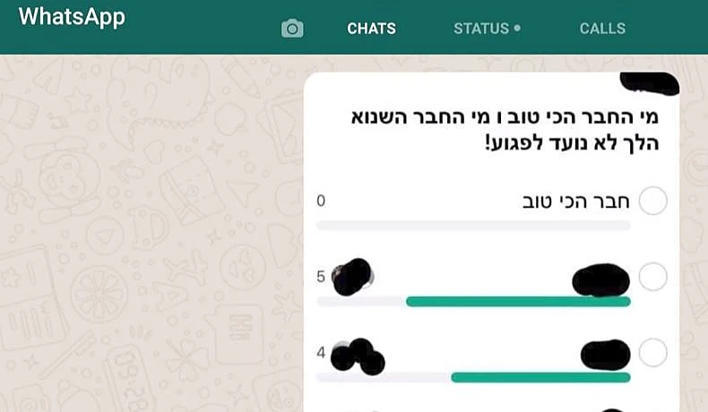''כלי נשק לכל דבר'', צילום מסך מתוך וואטסאפ