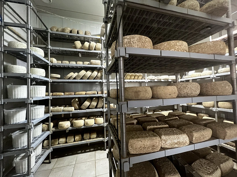 ארץ כרמי זית. צילום אבנית סטרולוב