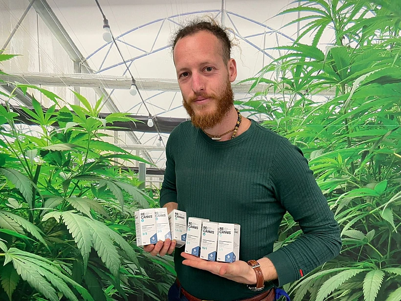 קנאביס רפואי של תיקון עולם