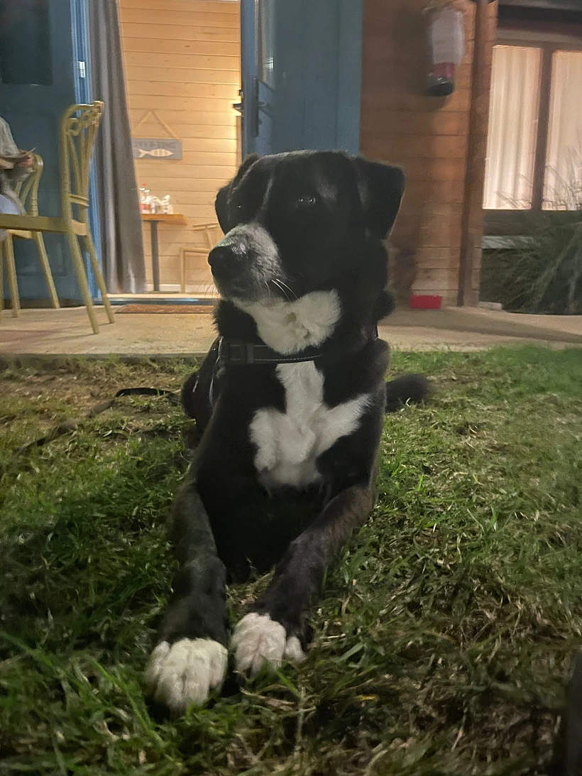 שון בכניסה לבקתה