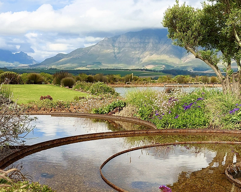 קייפאון צילום: ניב ויערה - יםבעולם