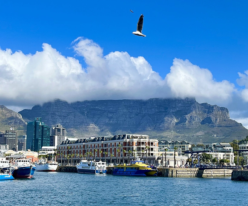 קייפטאון עיר עם אטרקציות ויופי טבעי. צילום: ניב ויערה - יםבעולם