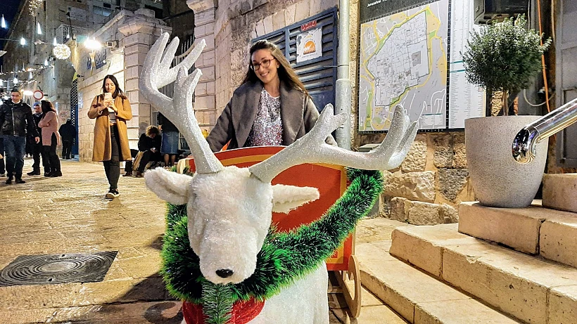 האייל של סנטה בפעולה בשער החדש. צילום: מיכל בן ארי מנור