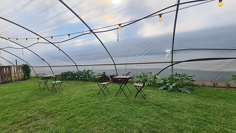 קפה עם בחממה