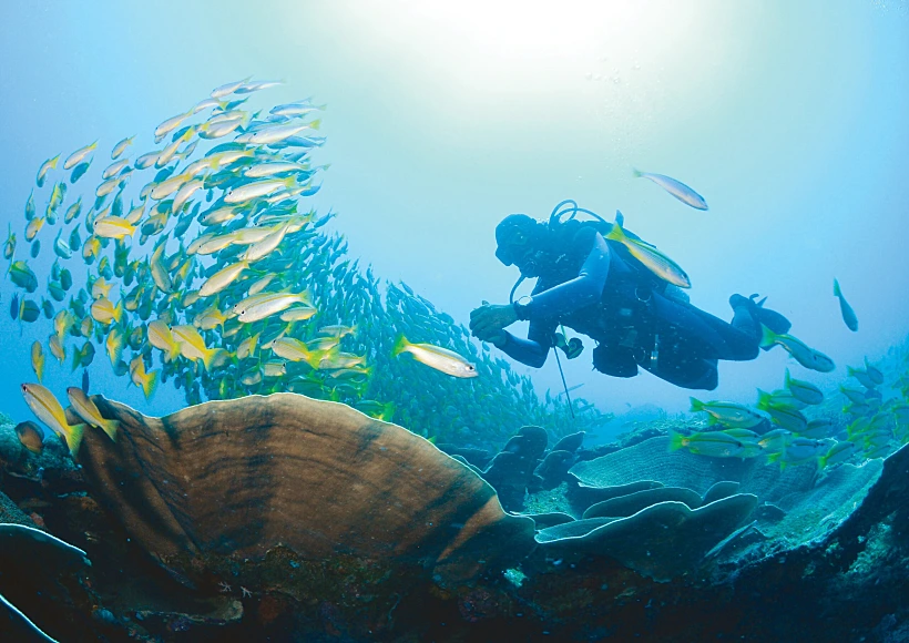 Miniloc Diving 1 Erwin Lim 2