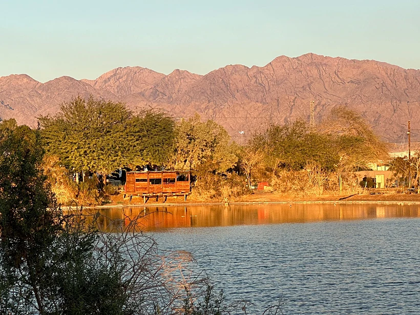 סיור בחינם בפארק הצפרות. צילום: איריס סביניק קרסו
