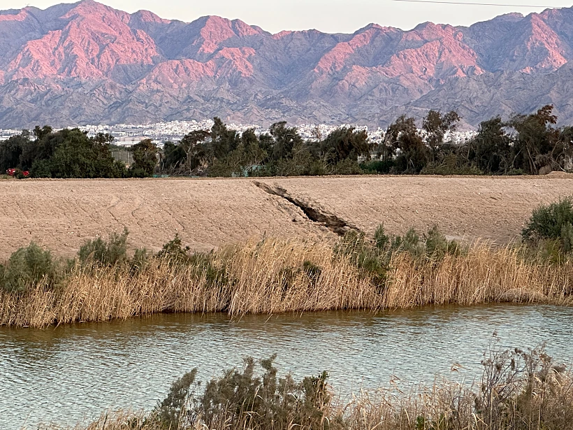 משהו טוב קורה באילת בחורף. צילום: איריס סביניק קרסו