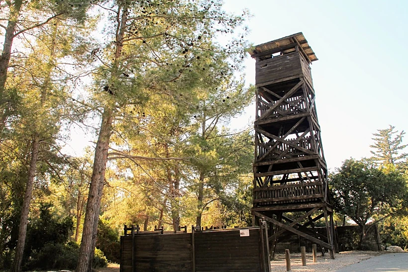 אתר שחזור חומה ומגדל בחניתה. צילום: אביחי שקד