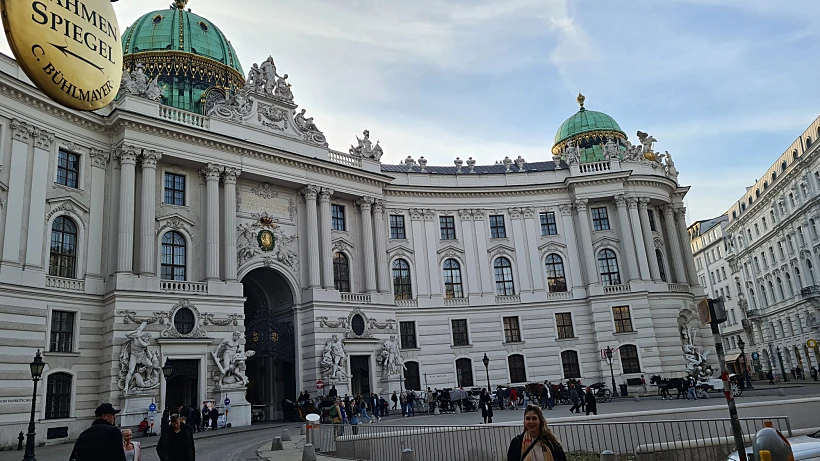 וינה. צילום: ירדן כחול