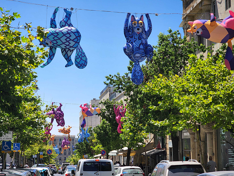 חתולים ההיתוליים של אלכסנדר חייצקי