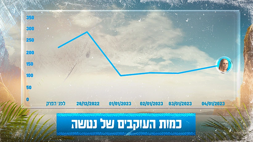 כמות העוקבים של נטשה