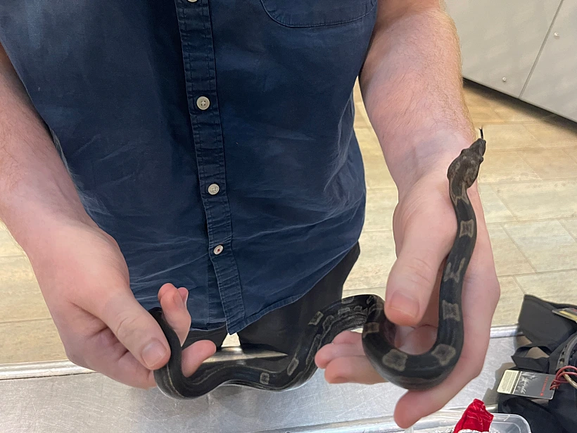 Whatsapp Image 2023 01 09 At 1