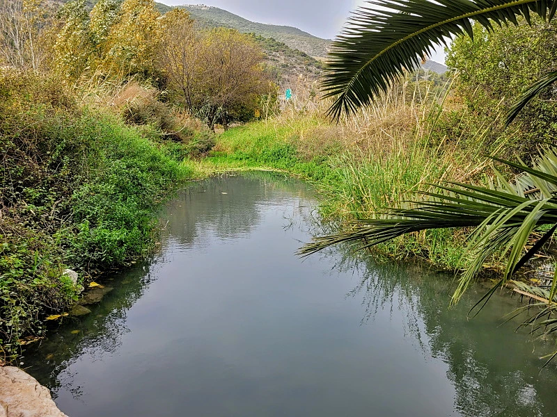 מעיין אלרואי.