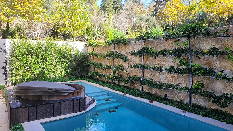 מלון גורדוניה