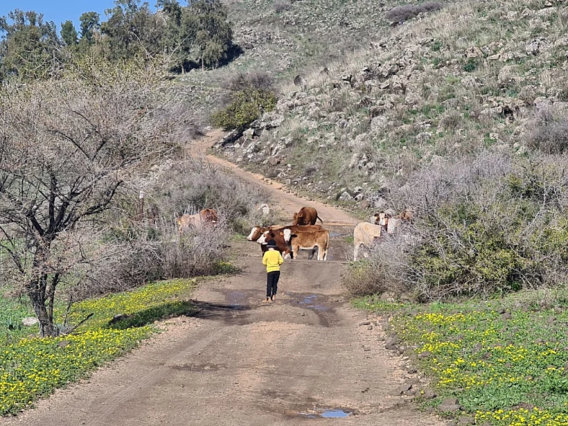 שמורת נחל רחום