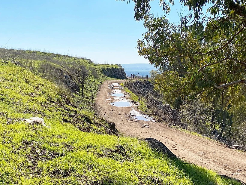 שמורת נחל רחום
