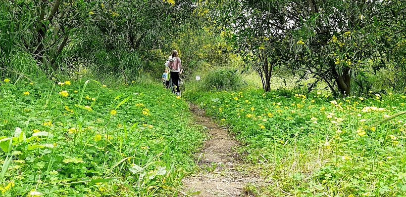 תל מיכל - הרצליה
