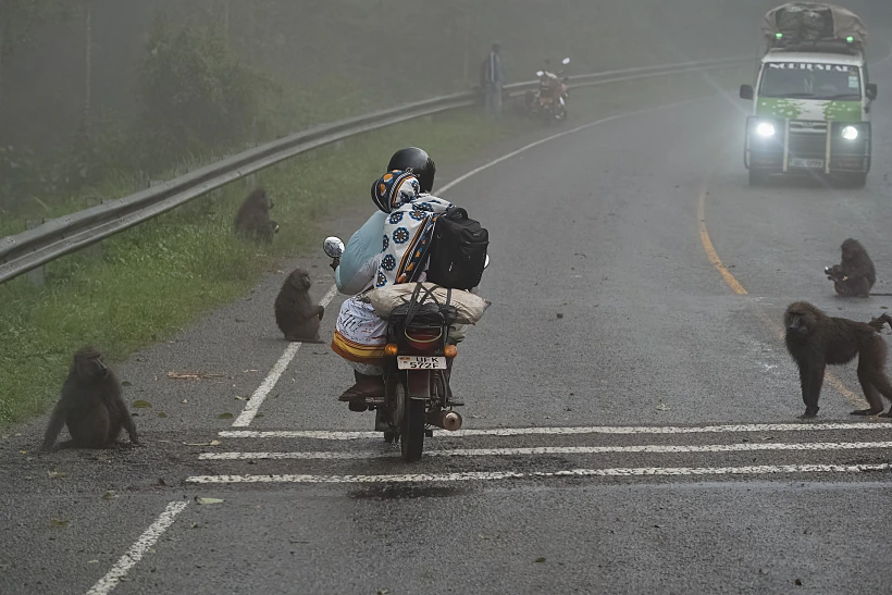 סיטואציה טיפוסית באוגנדה