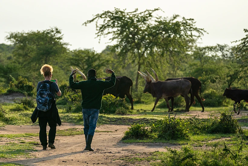 סיור באוגנדה