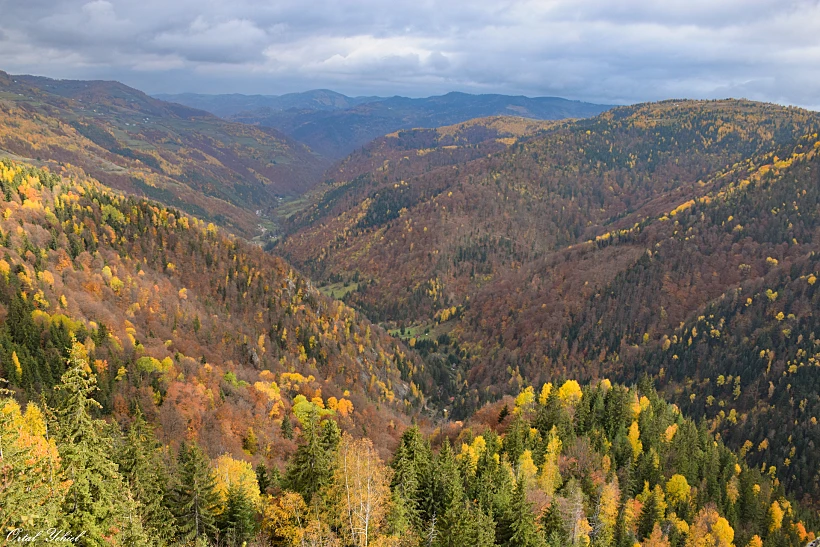תצפית Ţâcla Gavrii, רומניה