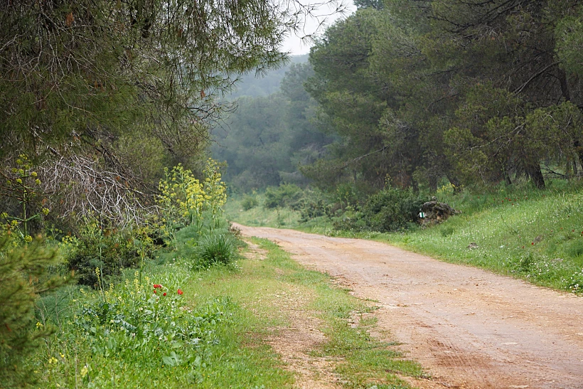 דרך נוף גלבוע