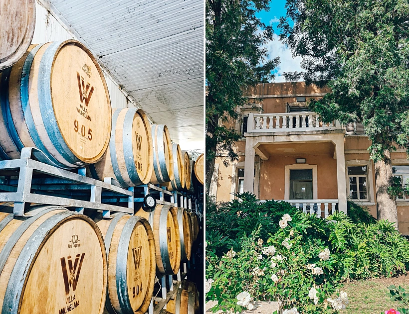 יקב וילה וילהלמה